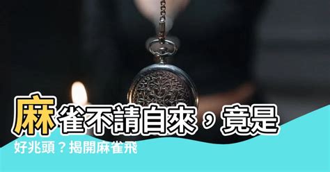 麻雀飛來家裡